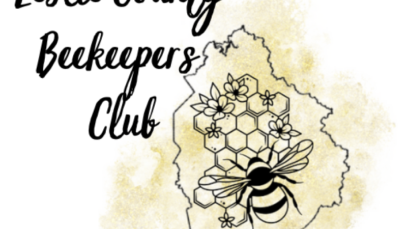 Adult Beekeepers