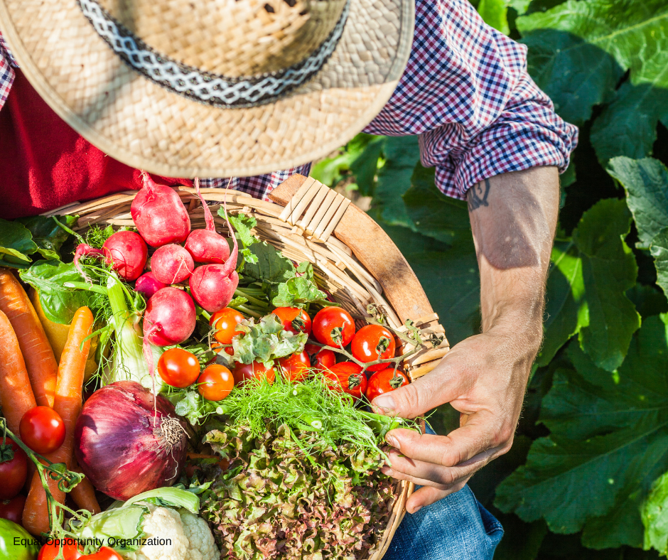 A gardener with a basket of fresh vegetables