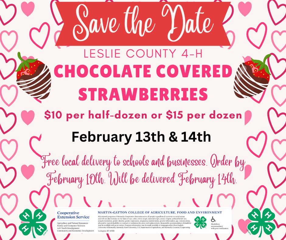 Chocolate Covered Strawberries Fundraiser for 4-H