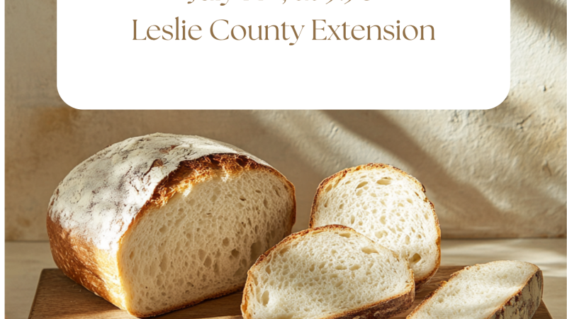 Photo of cut bread